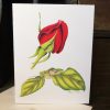 Rose Greeting Cards - Image 3