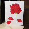 Rose Greeting Cards - Image 4