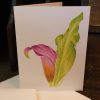 Assorted Summer Greeting Cards - Image 3