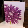 Assorted Summer Greeting Cards